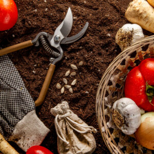 Szakrális Biokert Műhely