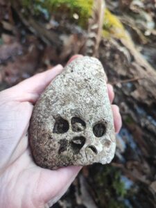 Boszorkánykő a szurdokból