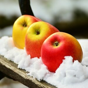 Szelíd növényvédelem téli időszakban