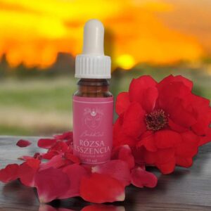 Rózsa esszencia